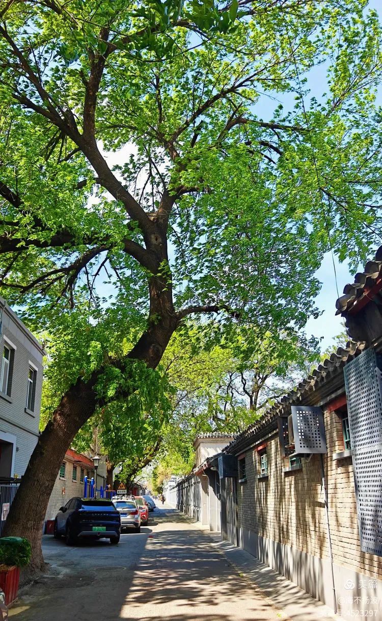 菊儿胡同,后圆恩寺胡同